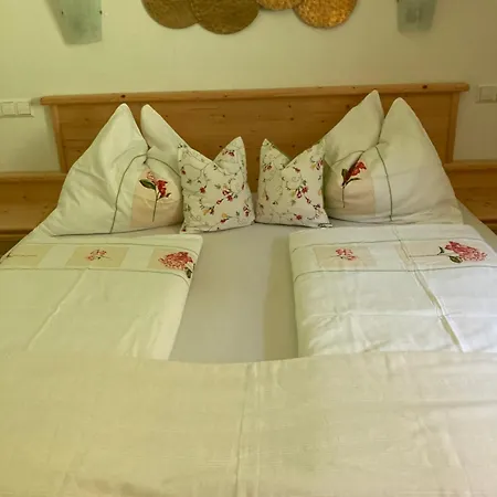 Apartmán Plut Schladming